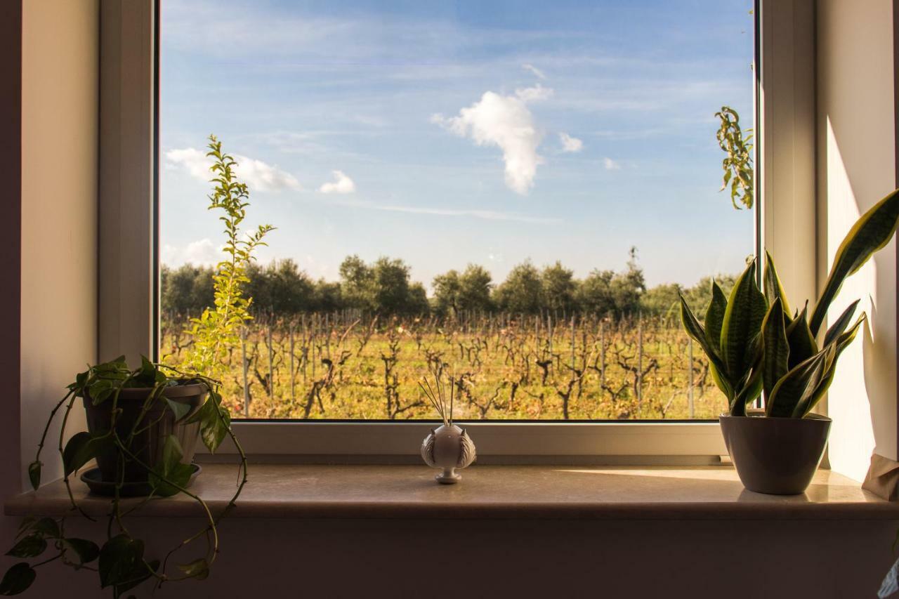 Tenuta Vigna Del Noce โคราโต ภายนอก รูปภาพ